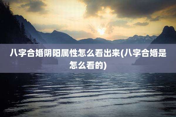 八字合婚阴阳属性怎么看出来(八字合婚是怎么看的)