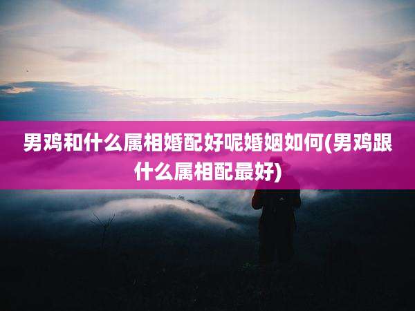 男鸡和什么属相婚配好呢婚姻如何(男鸡跟什么属相配最好)