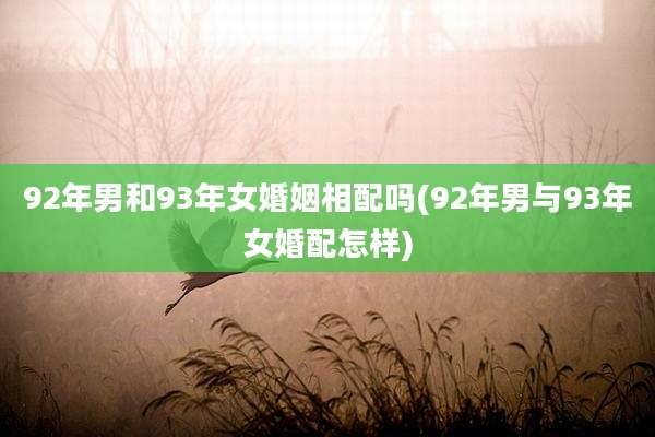 92年男和93年女婚姻相配吗(92年男与93年女婚配怎样)