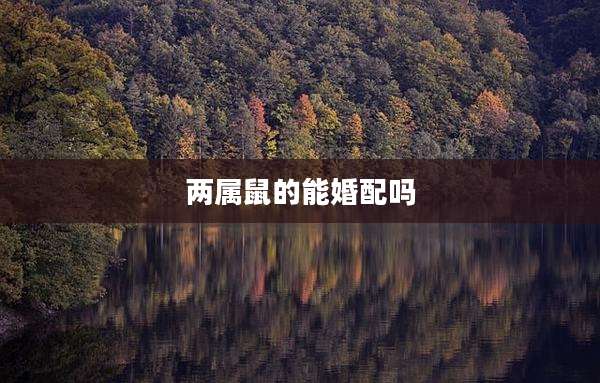 两属鼠的能婚配吗
