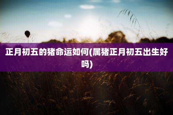 正月初五的猪命运如何(属猪正月初五出生好吗)