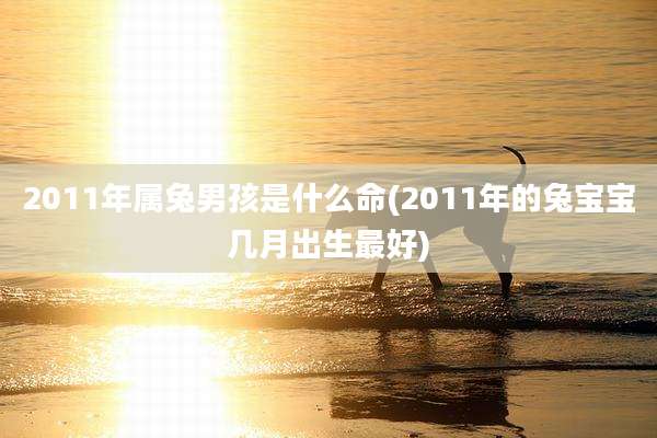 2011年属兔男孩是什么命(2011年的兔宝宝几月出生最好)