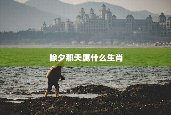 除夕那天属什么生肖
