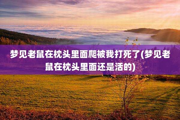 梦见老鼠在枕头里面爬被我打死了(梦见老鼠在枕头里面还是活的)