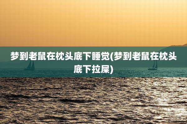 梦到老鼠在枕头底下睡觉(梦到老鼠在枕头底下拉屎)