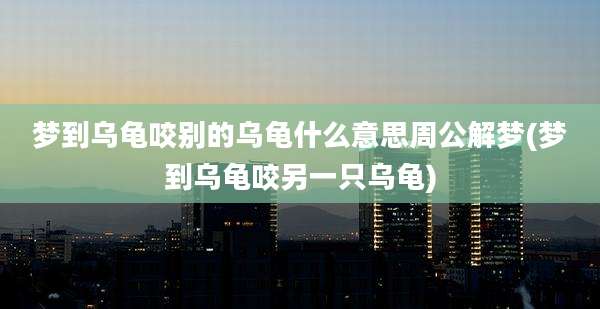 梦到乌龟咬别的乌龟什么意思周公解梦(梦到乌龟咬另一只乌龟)