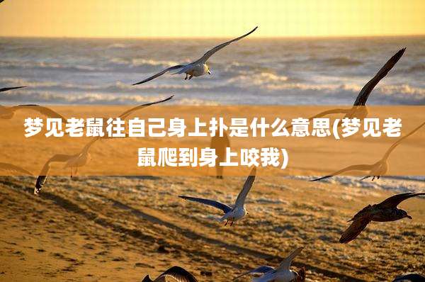 梦见老鼠往自己身上扑是什么意思(梦见老鼠爬到身上咬我)