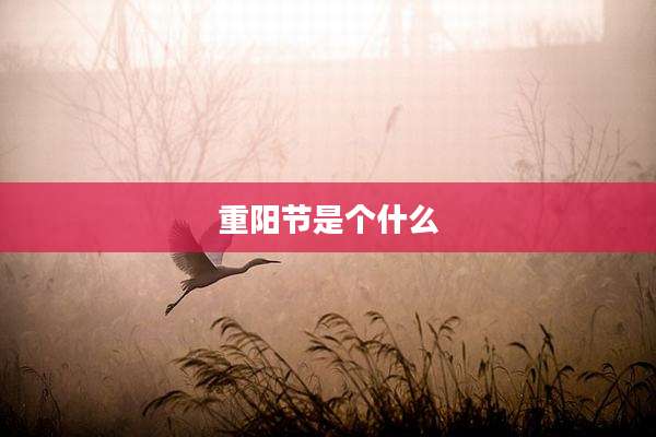 重阳节是个什么