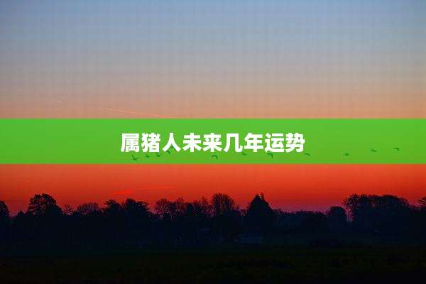 属猪人未来几年运势