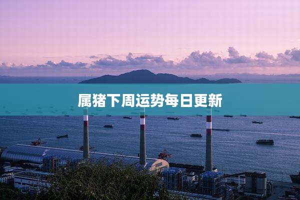 属猪下周运势每日更新