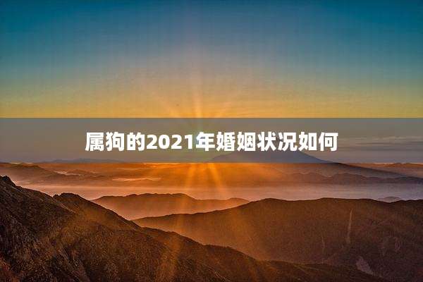 属狗的2021年婚姻状况如何