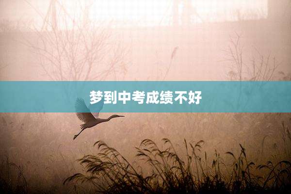 梦到中考成绩不好