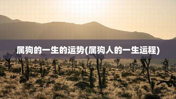 属狗的一生的运势(属狗人的一生运程)