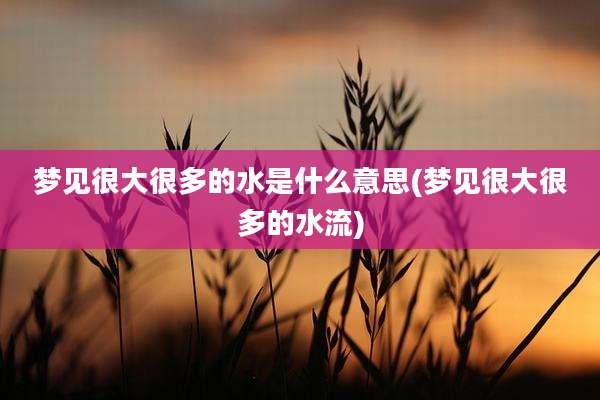 梦见很大很多的水是什么意思(梦见很大很多的水流)