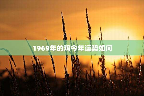 1969年的鸡今年运势如何