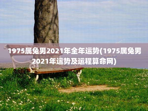 1975属兔男2021年全年运势(1975属兔男2021年运势及运程算命网)