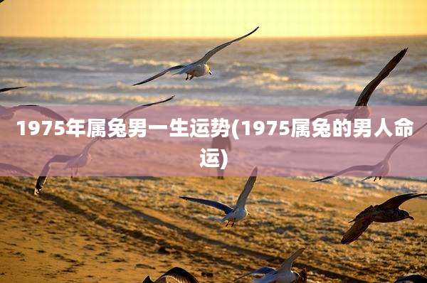 1975年属兔男一生运势(1975属兔的男人命运)