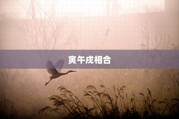 寅午戌相合