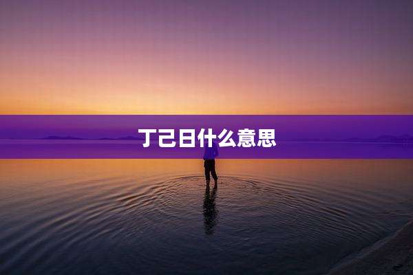 丁己日什么意思