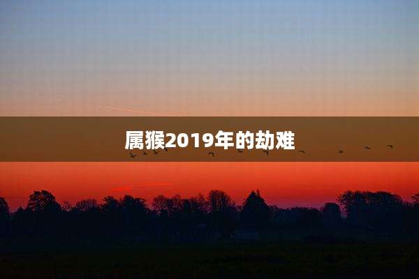 属猴2019年的劫难