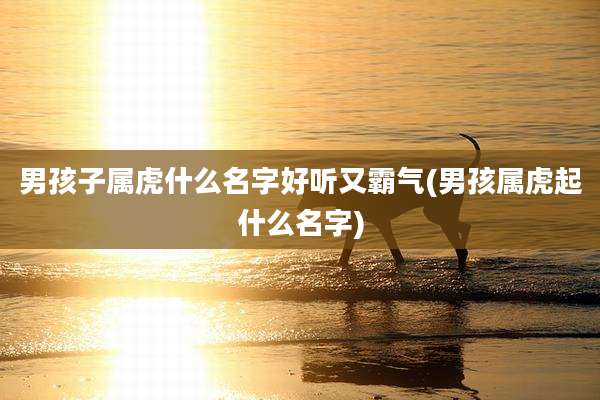 男孩子属虎什么名字好听又霸气(男孩属虎起什么名字)