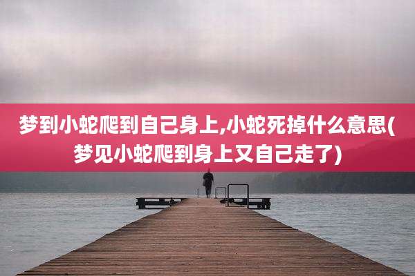 梦到小蛇爬到自己身上,小蛇死掉什么意思(梦见小蛇爬到身上又自己走了)