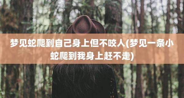 梦见蛇爬到自己身上但不咬人(梦见一条小蛇爬到我身上赶不走)