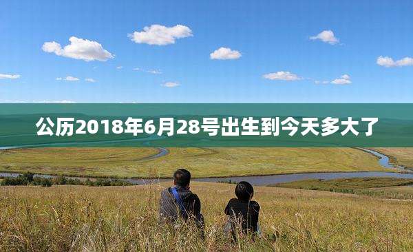 公历2018年6月28号出生到今天多大了