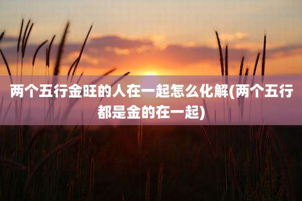 两个五行金旺的人在一起怎么化解(两个五行都是金的在一起)