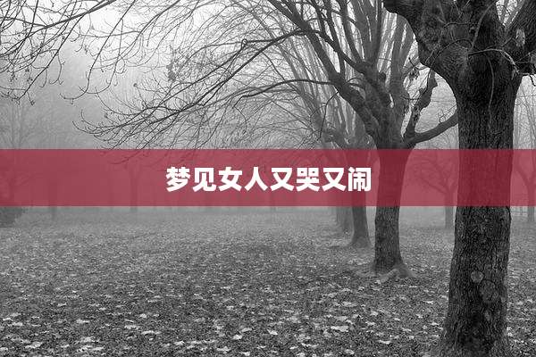 梦见女人又哭又闹