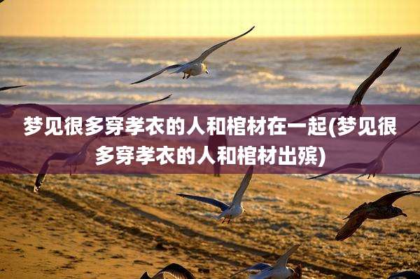 梦见很多穿孝衣的人和棺材在一起(梦见很多穿孝衣的人和棺材出殡)