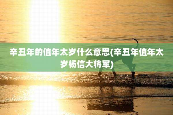 辛丑年的值年太岁什么意思(辛丑年值年太岁杨信大将军)