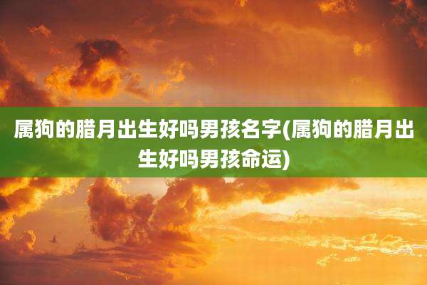 属狗的腊月出生好吗男孩名字(属狗的腊月出生好吗男孩命运)