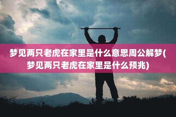 梦见两只老虎在家里是什么意思周公解梦(梦见两只老虎在家里是什么预兆)