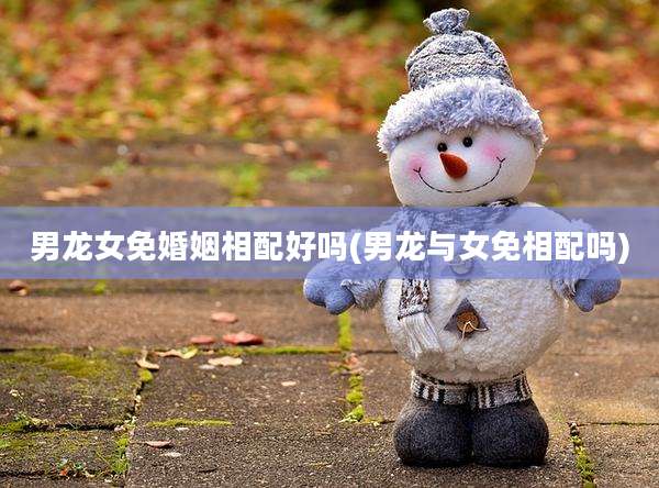 男龙女免婚姻相配好吗(男龙与女免相配吗)
