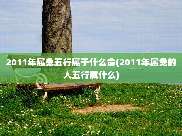 2011年属兔五行属于什么命(2011年属兔的人五行属什么)