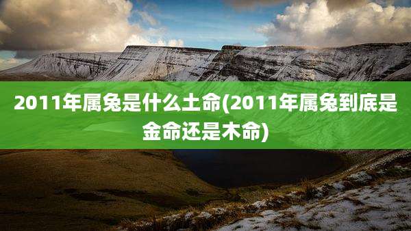 2011年属兔是什么土命(2011年属兔到底是金命还是木命)