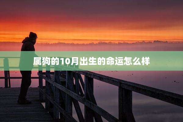 属狗的10月出生的命运怎么样