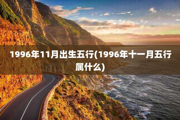 1996年11月出生五行(1996年十一月五行属什么)
