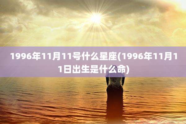 1996年11月11号什么星座(1996年11月11日出生是什么命)