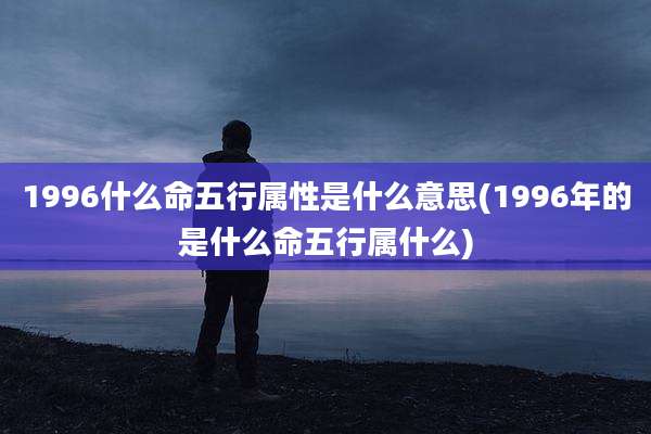 1996什么命五行属性是什么意思(1996年的是什么命五行属什么)