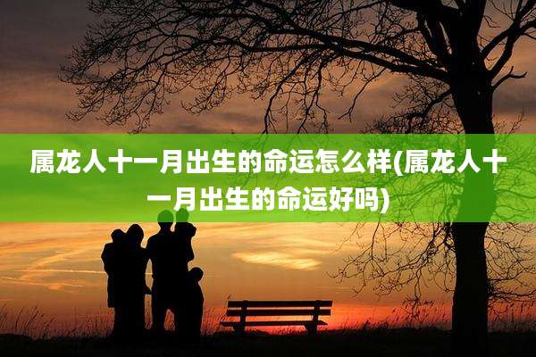属龙人十一月出生的命运怎么样(属龙人十一月出生的命运好吗)