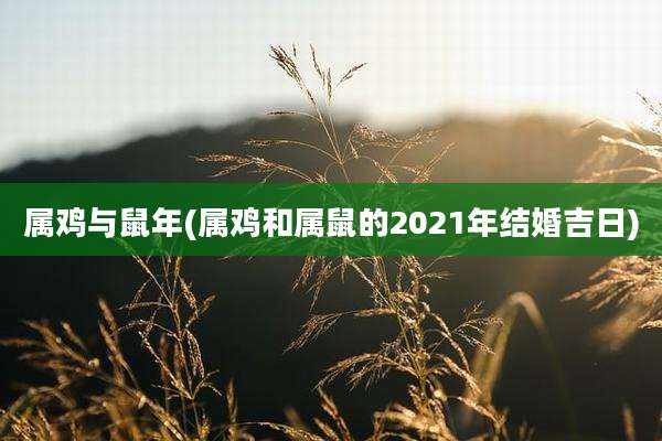属鸡与鼠年(属鸡和属鼠的2021年结婚吉日)