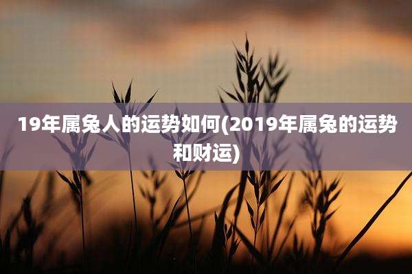 19年属兔人的运势如何(2019年属兔的运势和财运)