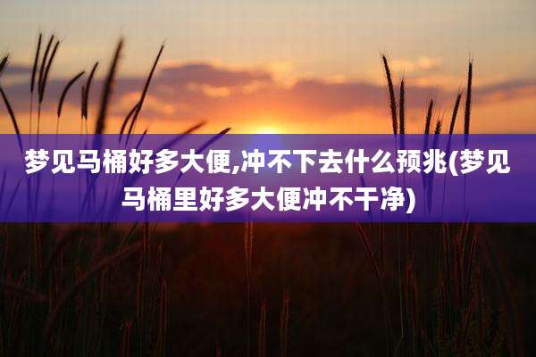 梦见马桶好多大便,冲不下去什么预兆(梦见马桶里好多大便冲不干净)
