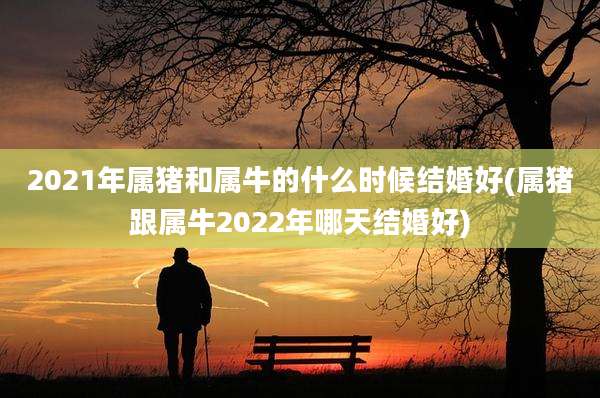 2021年属猪和属牛的什么时候结婚好(属猪跟属牛2022年哪天结婚好)