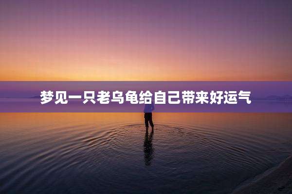 梦见一只老乌龟给自己带来好运气