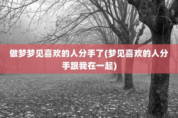 做梦梦见喜欢的人分手了(梦见喜欢的人分手跟我在一起)