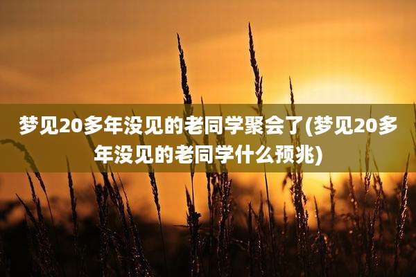 梦见20多年没见的老同学聚会了(梦见20多年没见的老同学什么预兆)