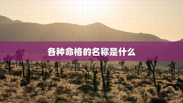 各种命格的名称是什么